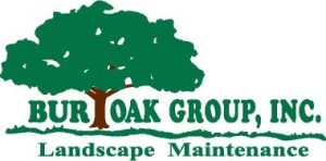 BurOakGroupInc