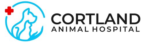 CORTLAND ANIMAL HOSPITAL